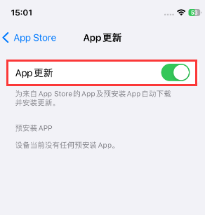 蛟河苹果15维修中心如何让iPhone15APP自动更新